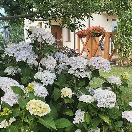 Na Baltyckiej * Choczewo