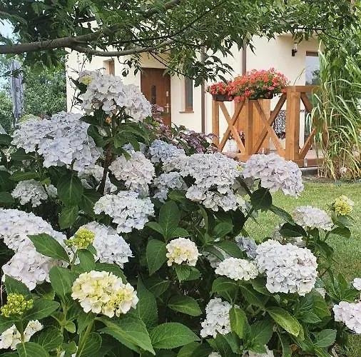 Na Baltyckiej * Choczewo