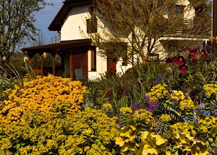 Na Baltyckiej Choczewo